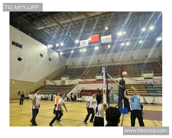 南京排球队的拼搏之路：城市联赛中的奋斗与荣耀